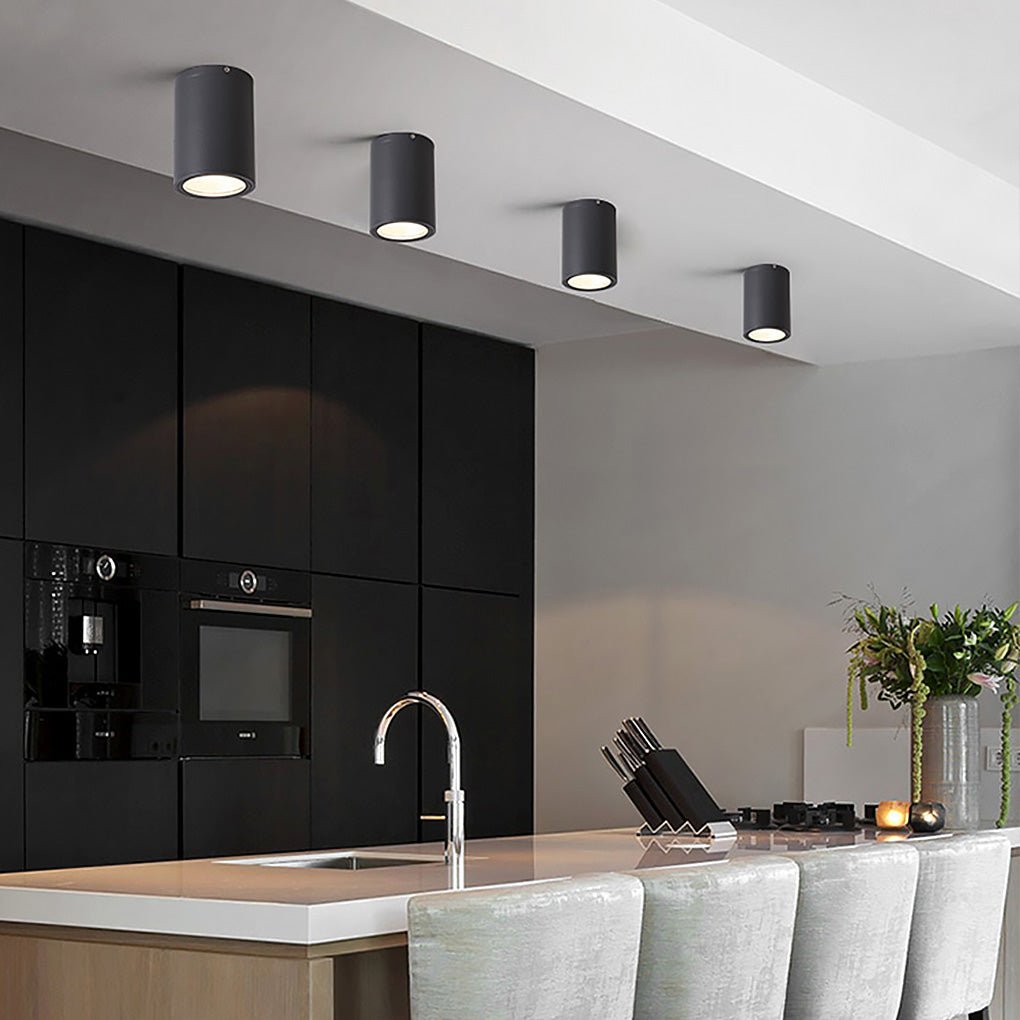 Outdoor Lighting Downlights LED Waterproof Ceiling Light