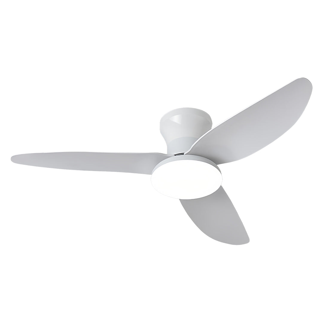 Ceiling Fan with Dimmer Light Modern Small 3-Blade and Remote Quiet