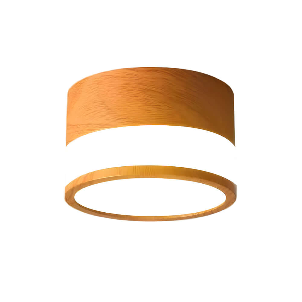 Flush Mount Ceiling LED Lights Modern Minimalist Round Downlight