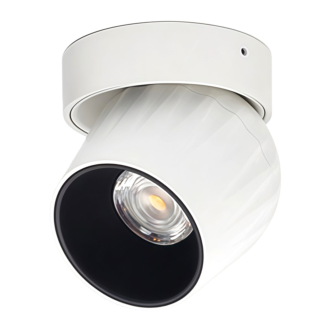 Rotating Spotlight Anti-Glare COB Surface Mount Aluminum Light