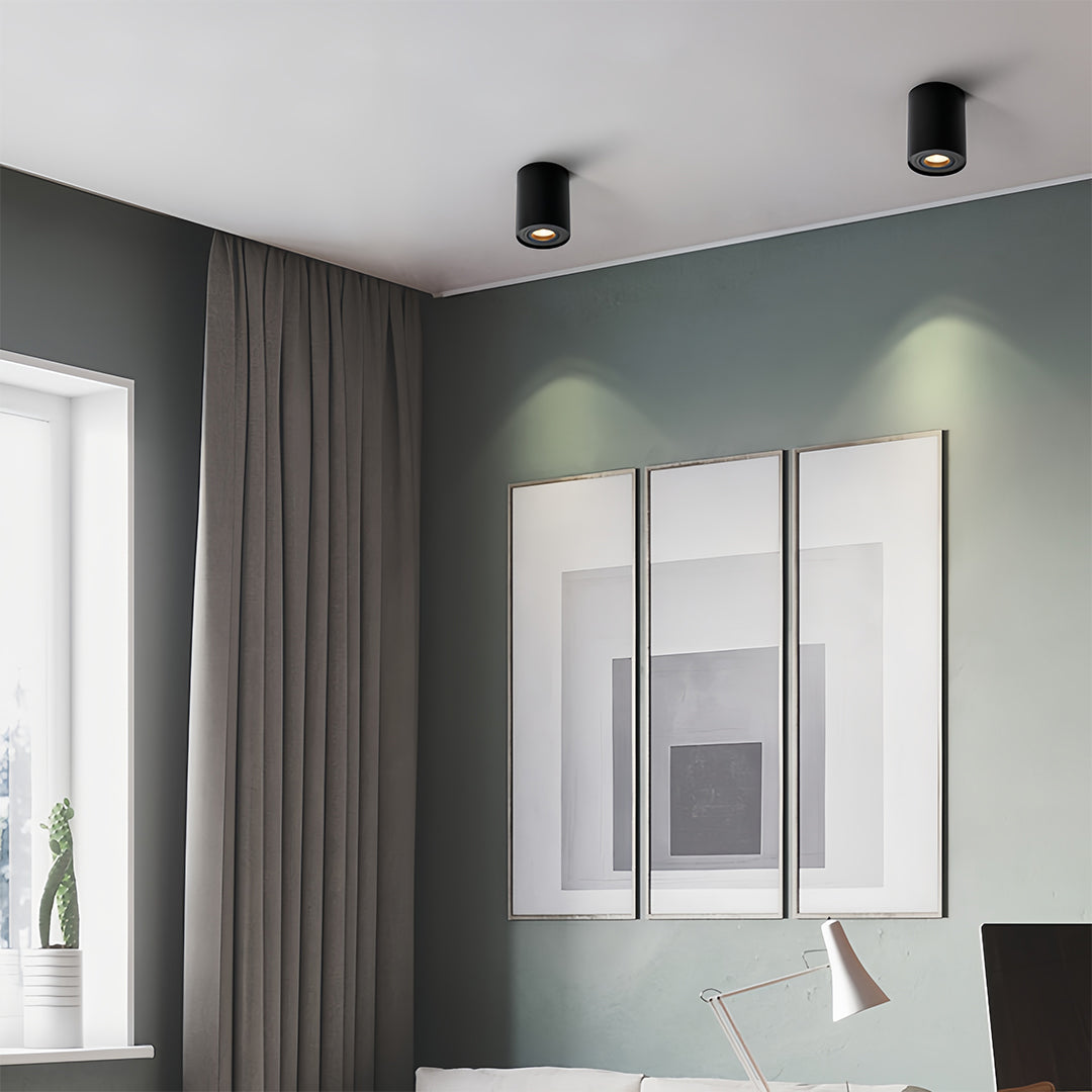 Surface Mounted Downlight Modern Cylindrical Black LED Ceiling Light
