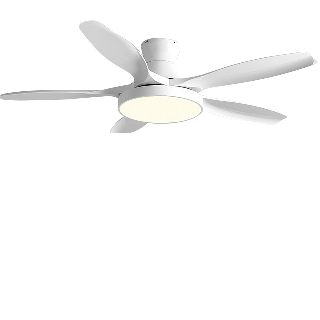 Living Room Ceiling Fan with Lights Modern Silent Inverter Lamp