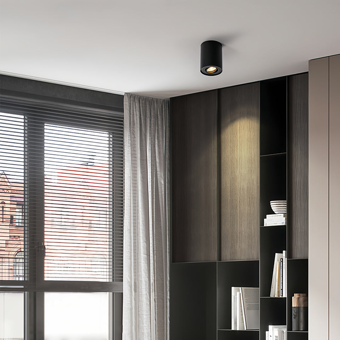 Surface Mounted Downlight Modern Cylindrical Black LED Ceiling Light