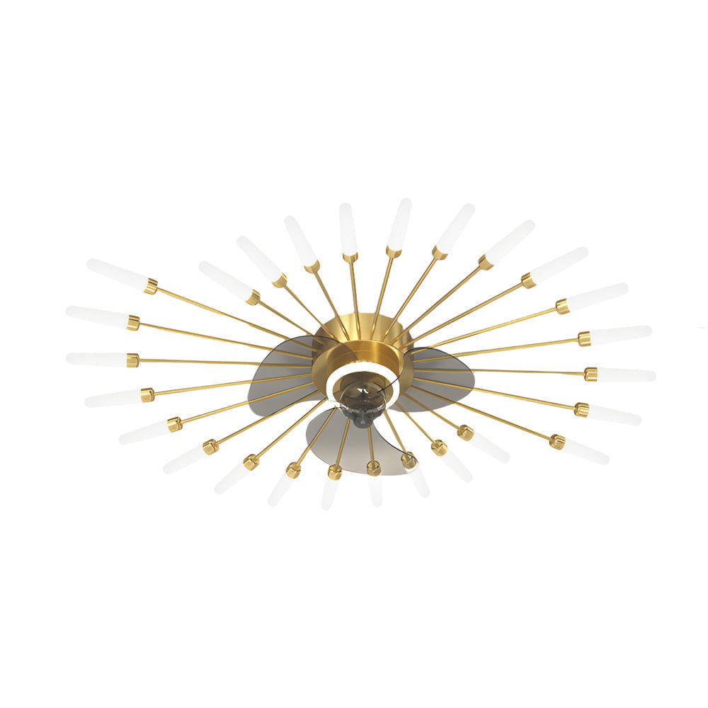 Creative Flower Mute Three Step Dimming Nordic Ceiling Fans with Lights