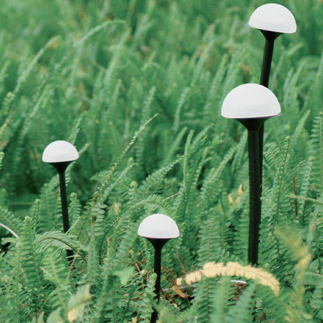 Garden Lights Landscape Outdoor Waterproof Lights