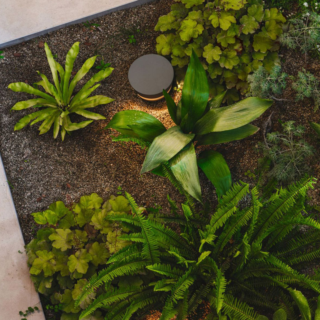 Black Pathway Lights with a Sleek Minimalist Design Lawn Lights