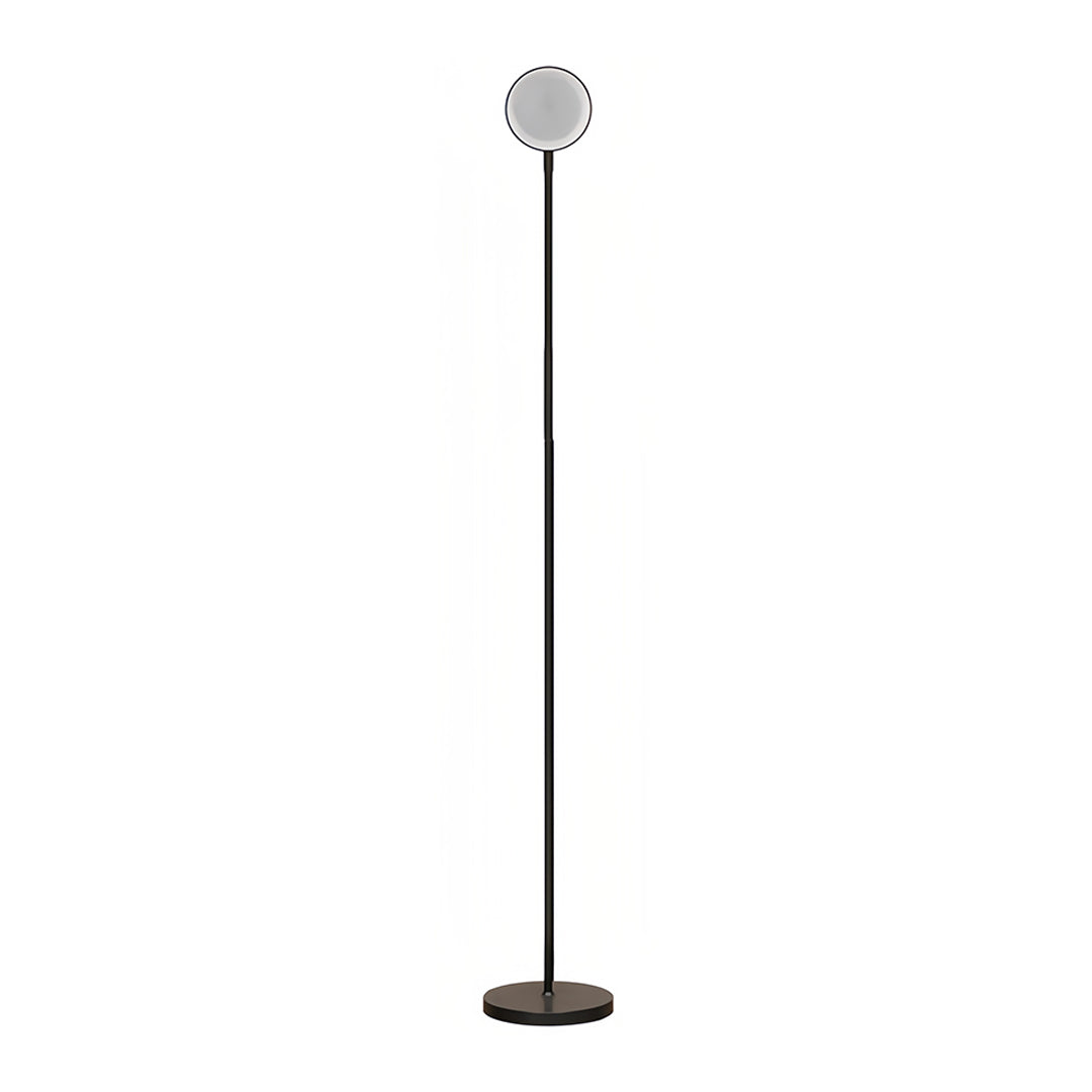 Tall Floor Lamps for Bedroom Nordic Adjustable Reading Standing Lamps