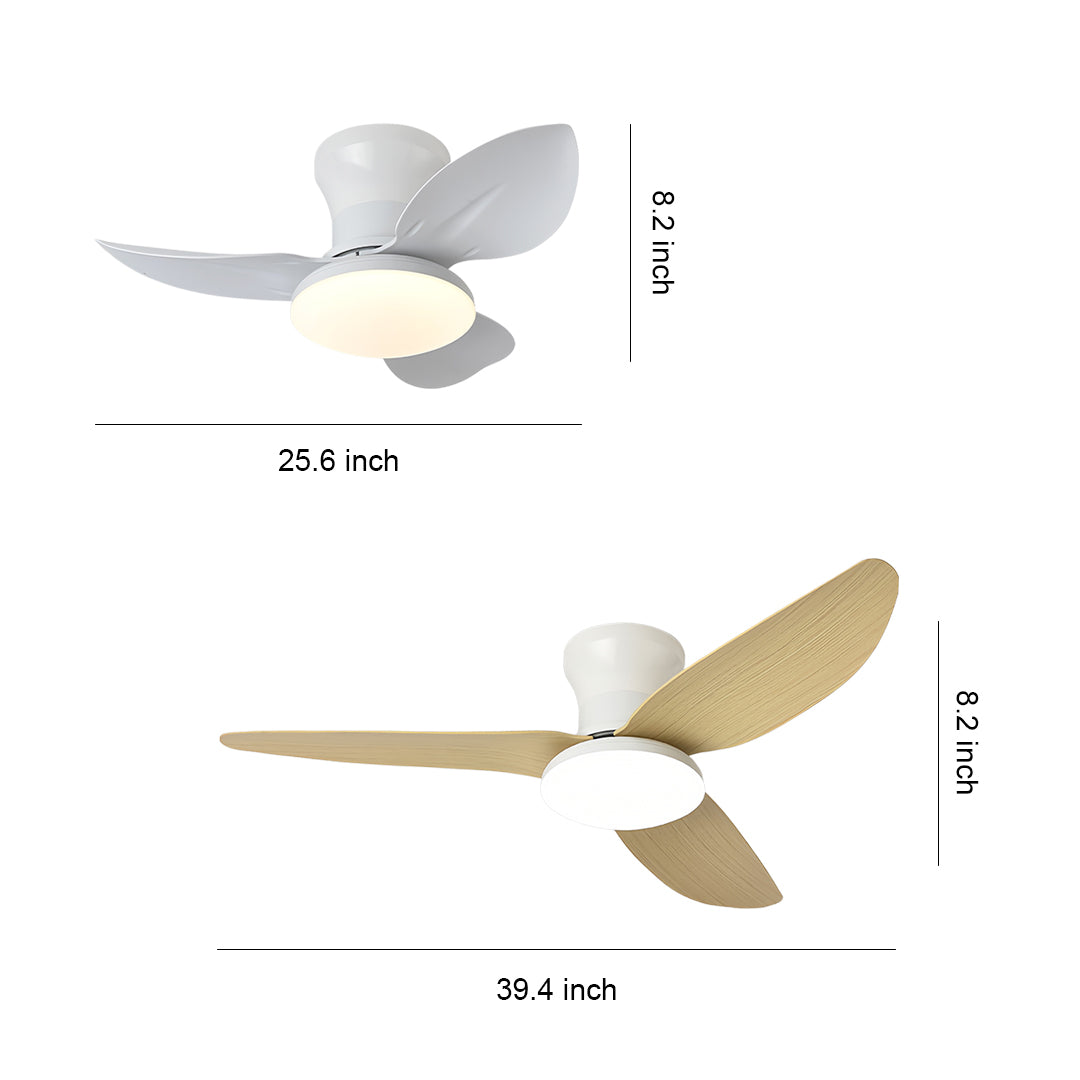 Ceiling Fan with Dimmer Light Modern Small 3-Blade and Remote Quiet