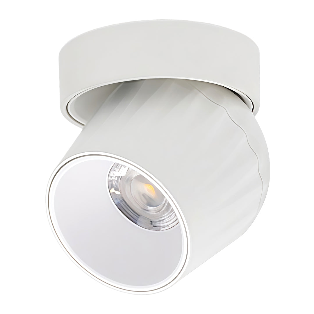Rotating Spotlight Anti-Glare COB Surface Mount Aluminum Light