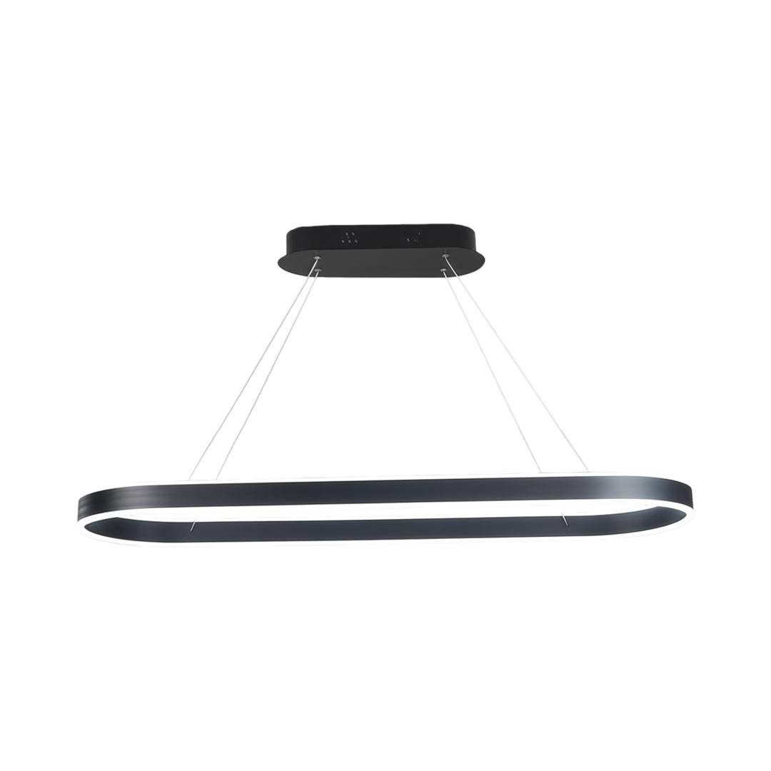 Oval LED Pendant Light Modern Aluminum Ceiling Light