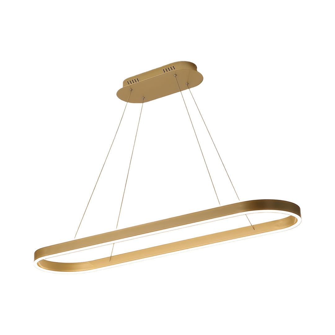 Oval LED Pendant Light Modern Aluminum Ceiling Light