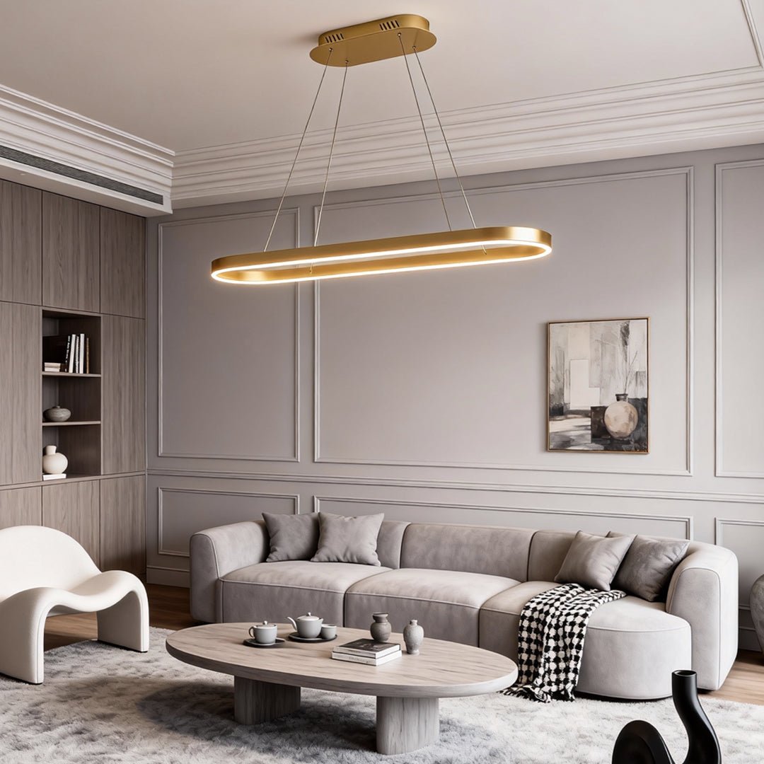 Oval LED Pendant Light Modern Aluminum Ceiling Light