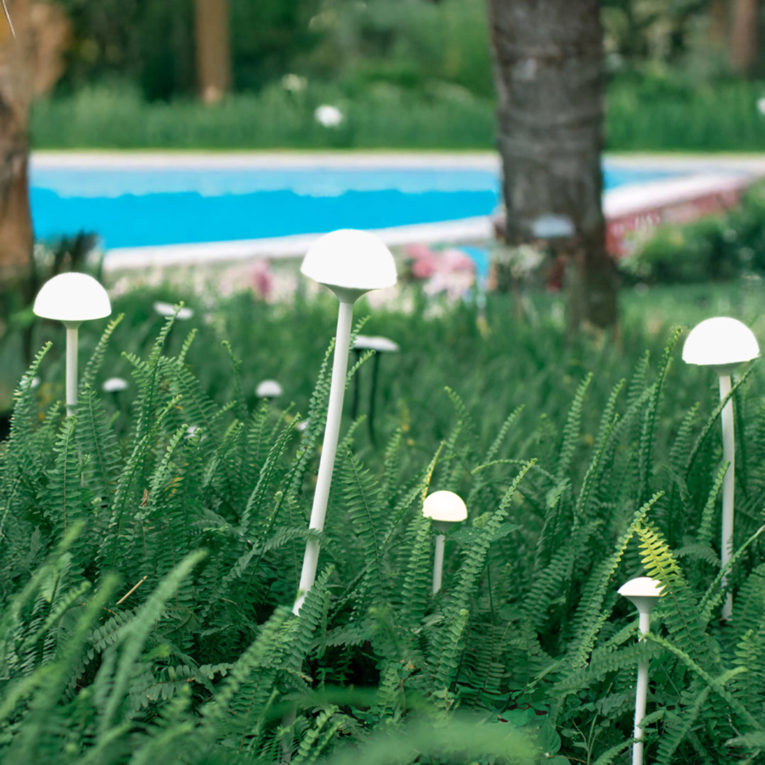 Garden Lights Landscape Outdoor Waterproof Lights