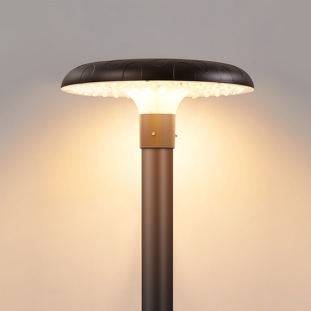 Residential Street Lighting Outdoor High-Pole Light