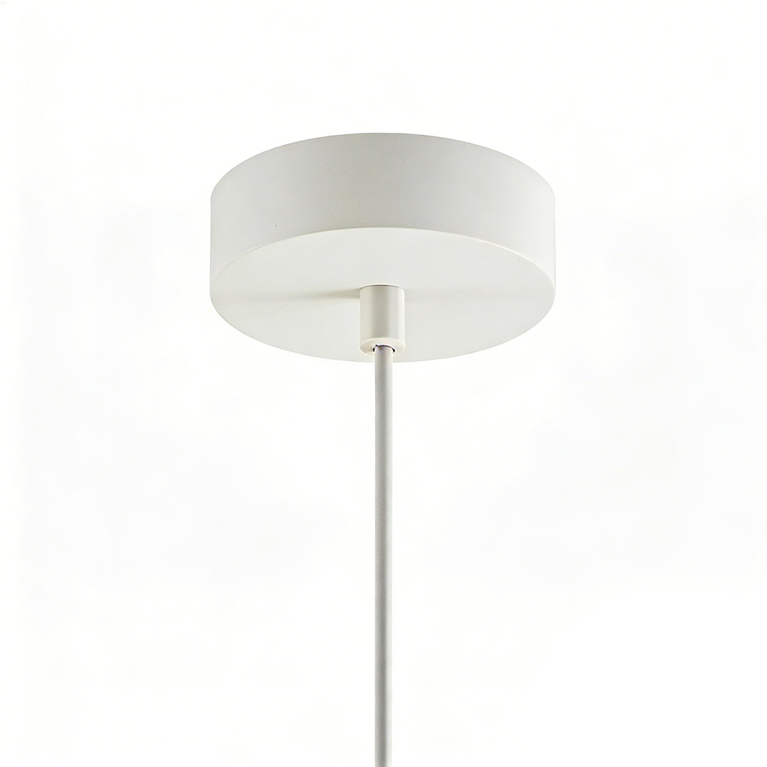 Resin Pandant Light Modern LED Unique Ceiling Light