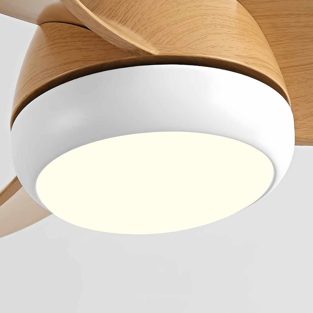 Retro Ceiling Fan with Light Nordic Inverter Metal Lamp Body Fan Light