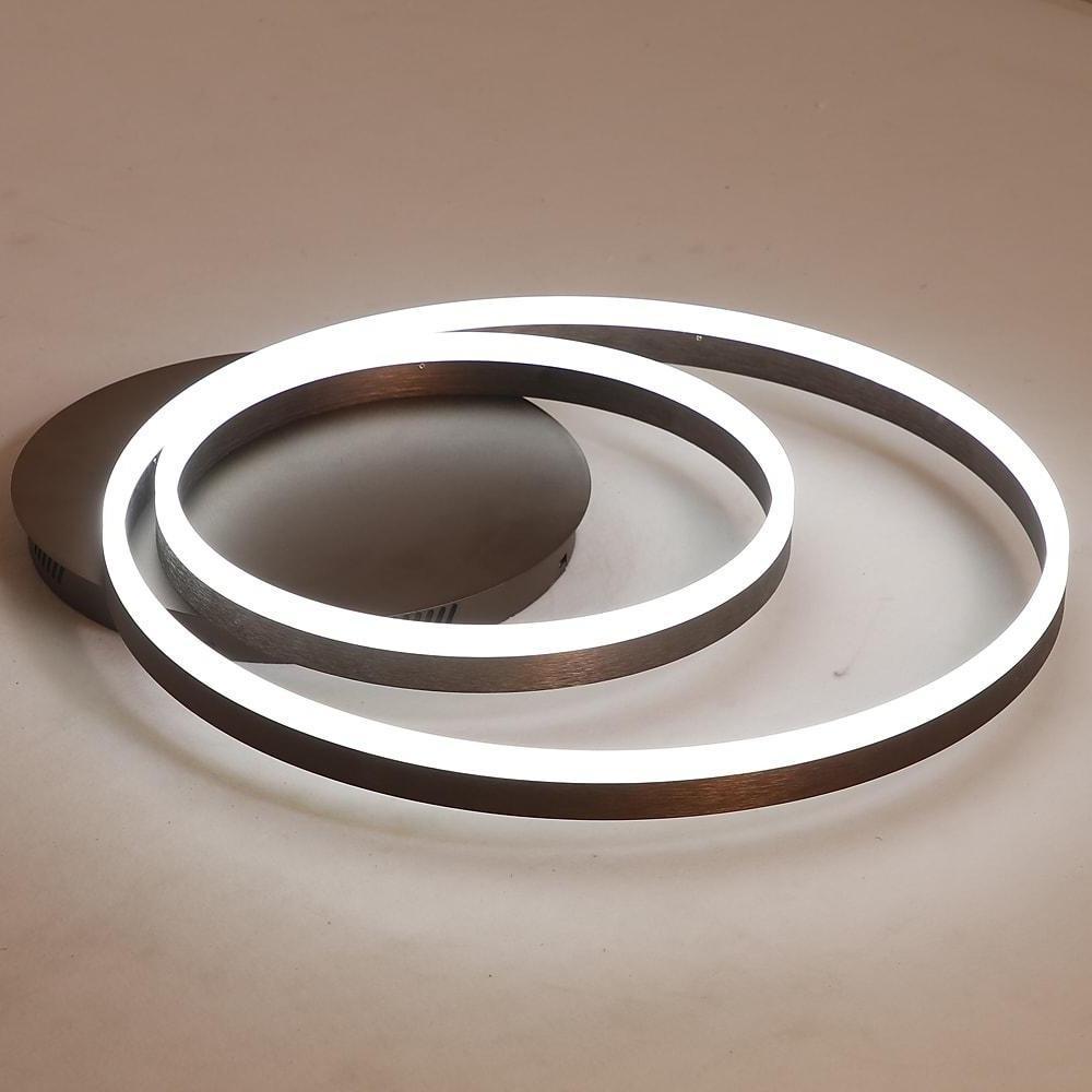 Ring Pendant Light Fixture Modern 2-Light LED Ceiling Light