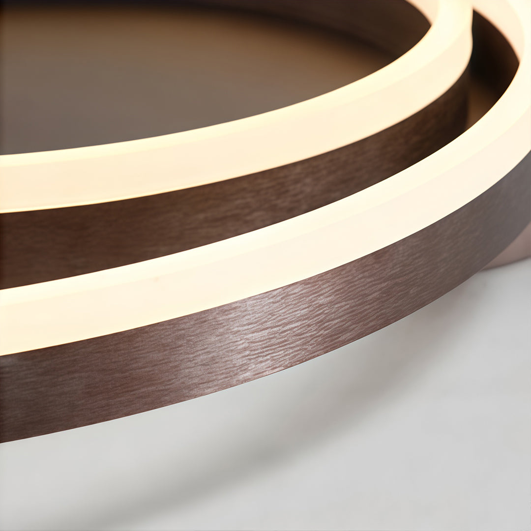 Ring Pendant Light Fixture Modern 2-Light LED Ceiling Light