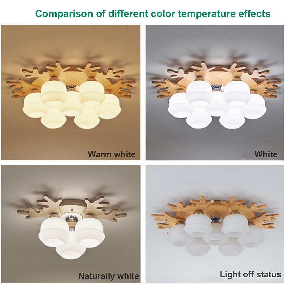 Globe Ceiling Lamp Nordic Style Wooden Glass LED Light