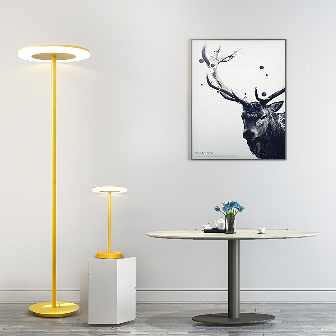 Colored Floor Lamp Modern Macaron Round Head Dimmable Standing Lamp