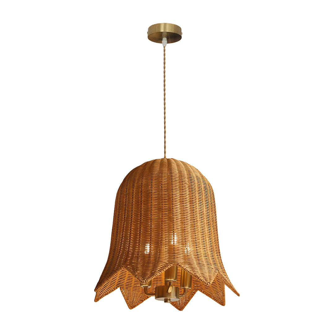 Hanging Rattan Pendant Light Artistic Iron Ceiling Light