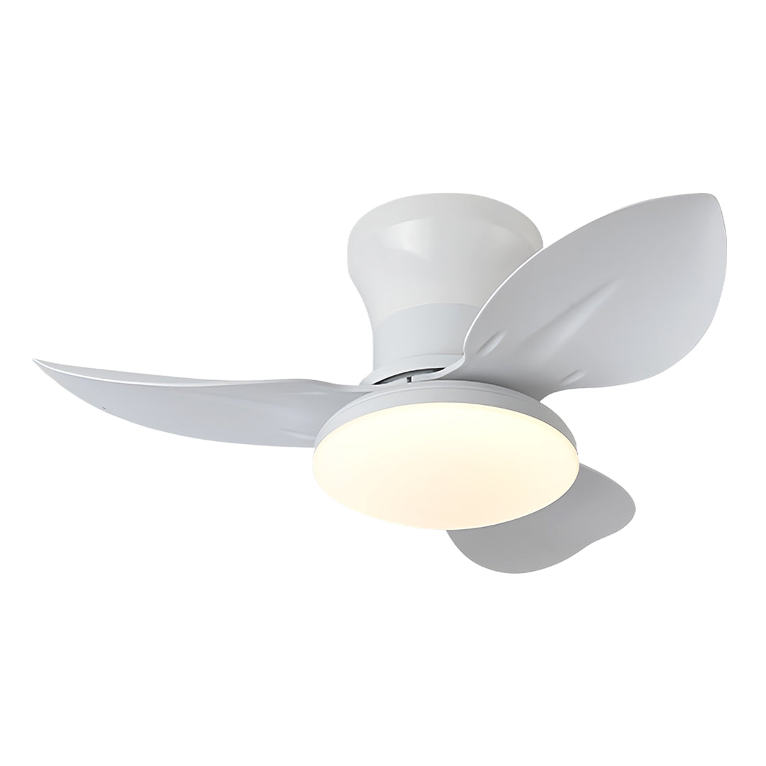 Ceiling Fan with Dimmer Light Modern Small 3-Blade and Remote Quiet