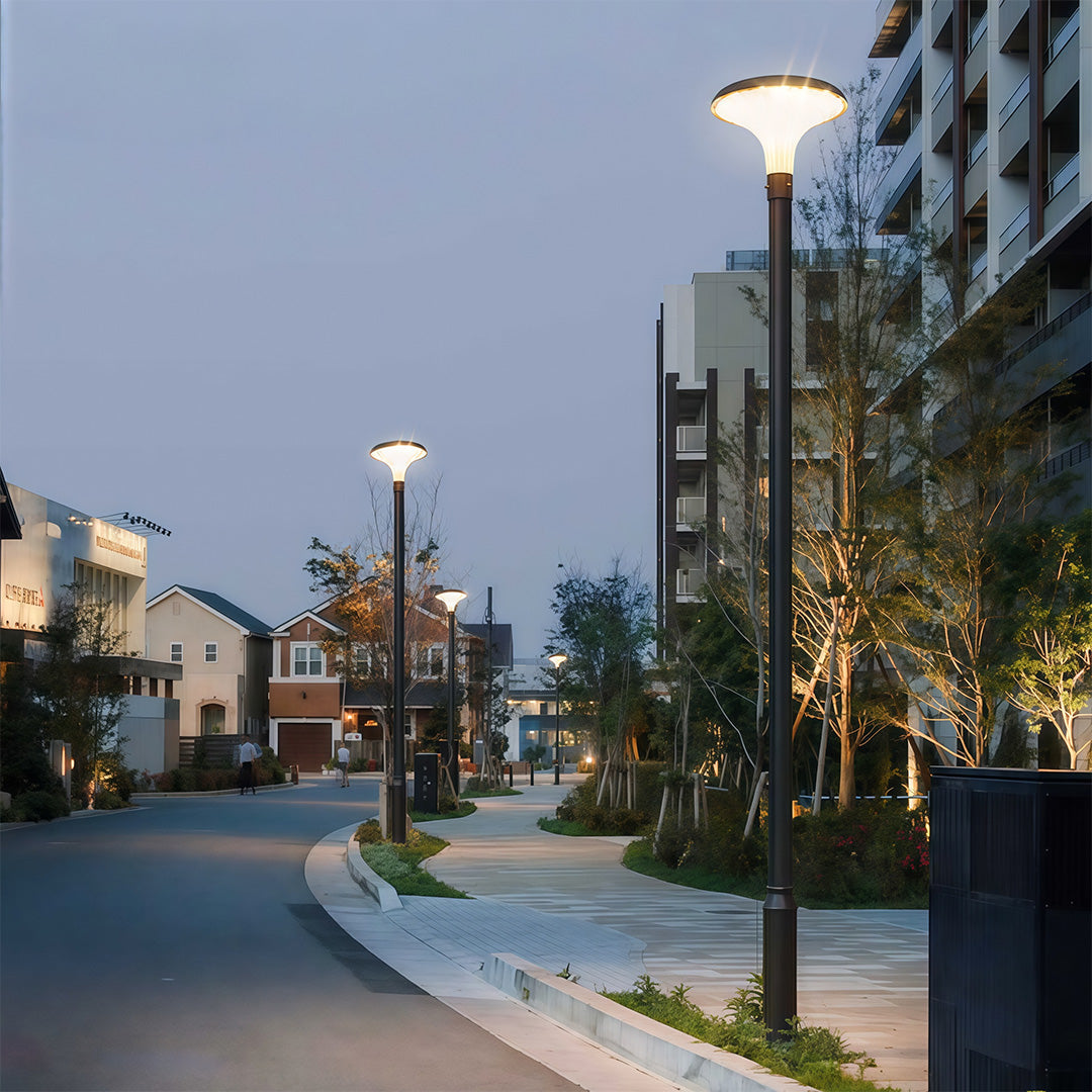 Street Lighting Fixtures Solar Waterproof High Pole Light