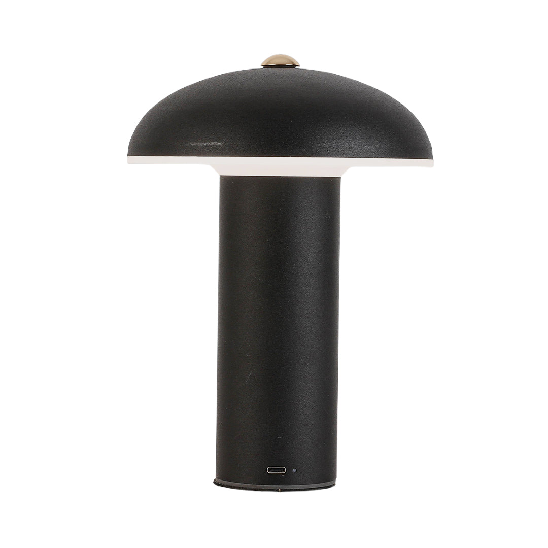 Dimmable LED Table Lamp Stylish Iron and Acrylic Ambience Light