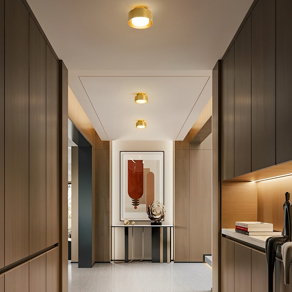 Surface Mounted LED Downlight Round Aluminum Ceiling Light