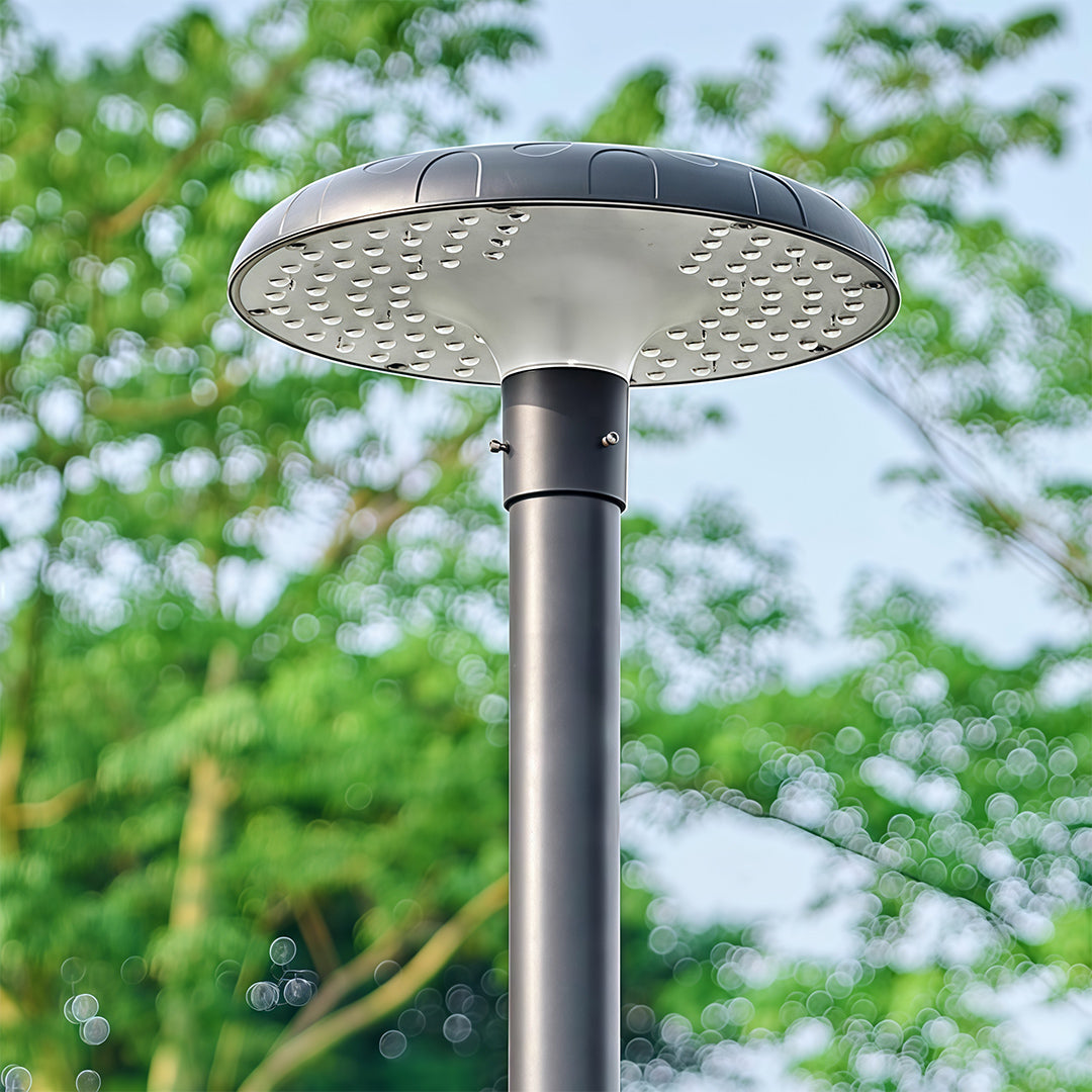 Residential Street Lighting Outdoor High-Pole Light