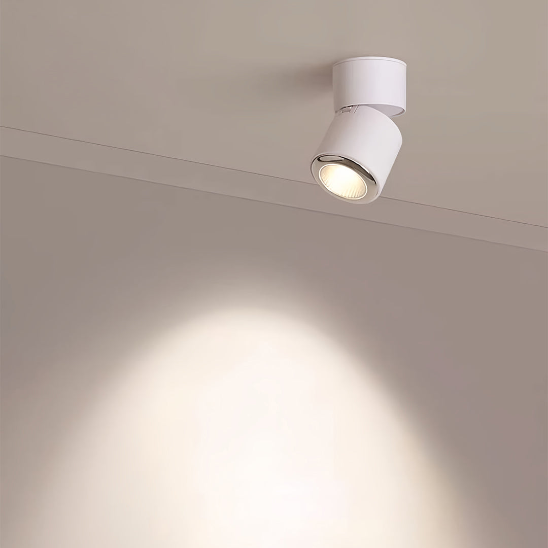 Adjustable Spotlight Anti-Glare 360° Rotating Deep Baffle LED Light