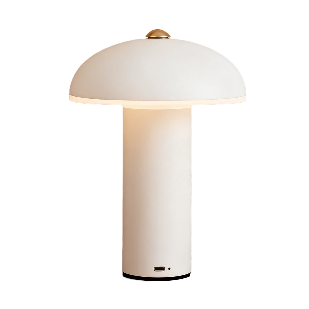 Dimmable LED Table Lamp Stylish Iron and Acrylic Ambience Light